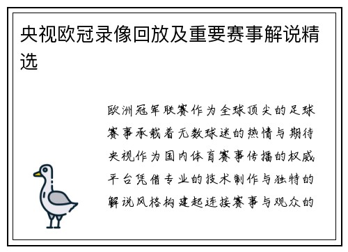 央视欧冠录像回放及重要赛事解说精选